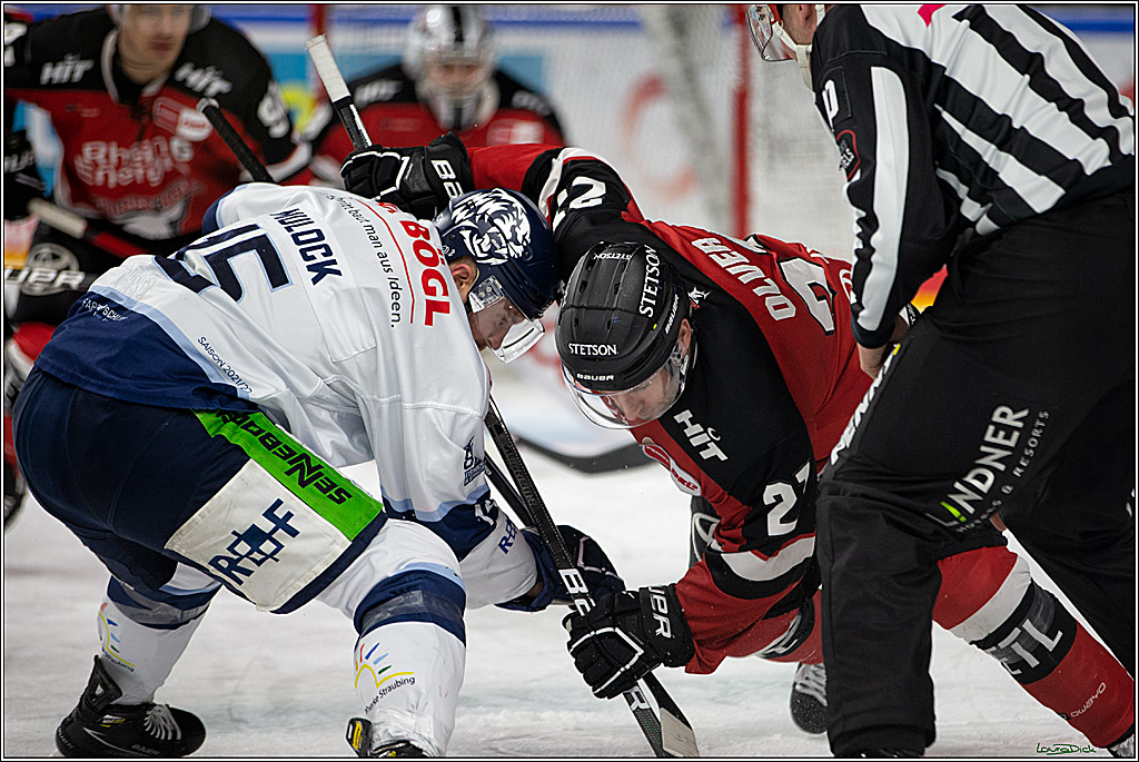 PENNY DEL;  Koelner Haie - Straubing Tigers; Koeln, 11.03.2022